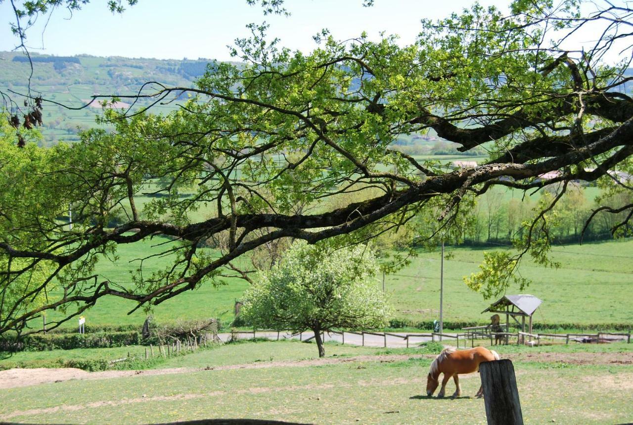 Village.insolite Montagny-sur-Grosne Exteriör bild